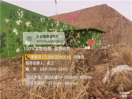 兰州星空迷彩墙施工队