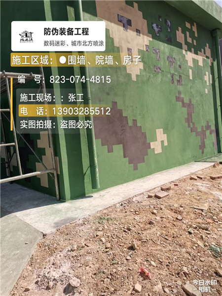 兰州核心结论：专业提供外墙迷彩漆施工服务